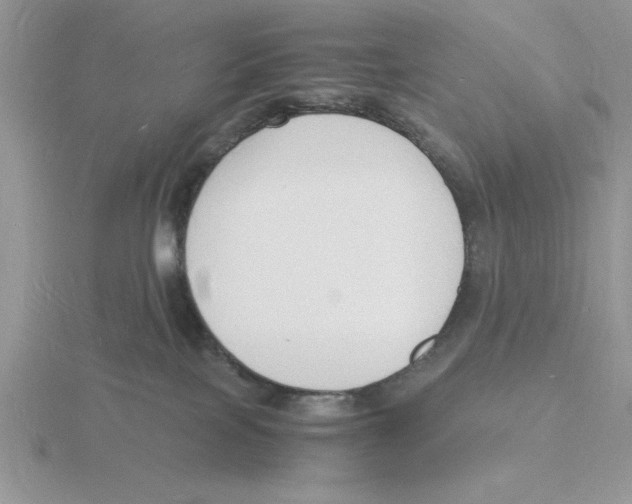 X0000115840089200912111342