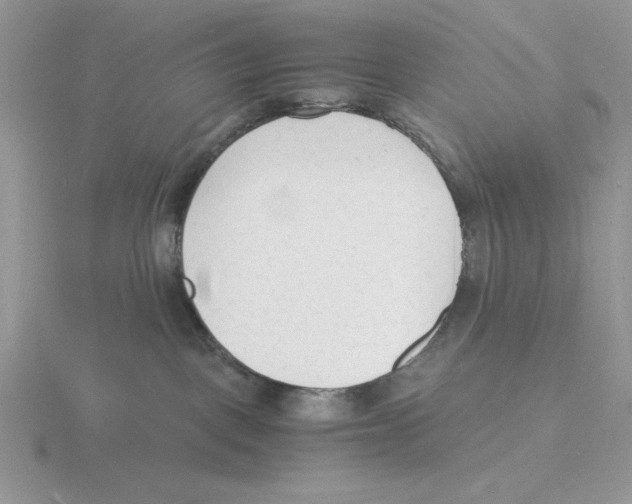 X0000115840093200912111342