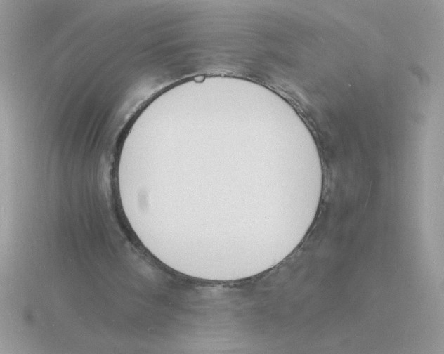 X0000115840098200912111341