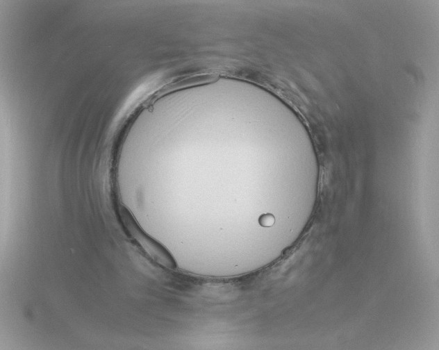 X0000115840101200912111341