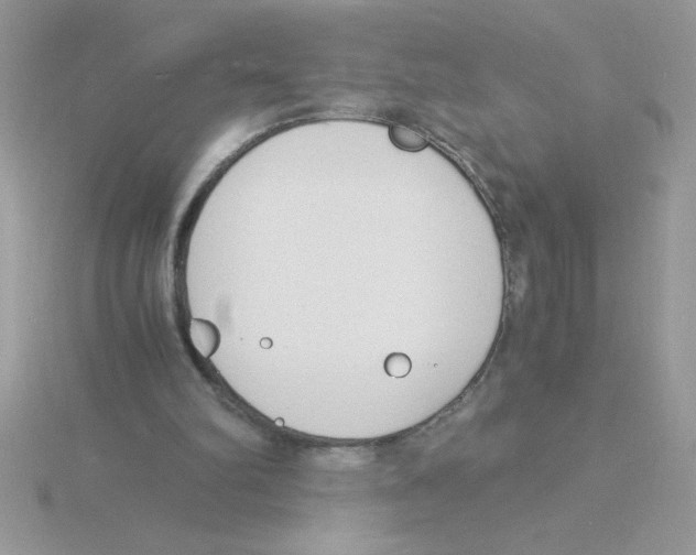 X0000115840102200912111341