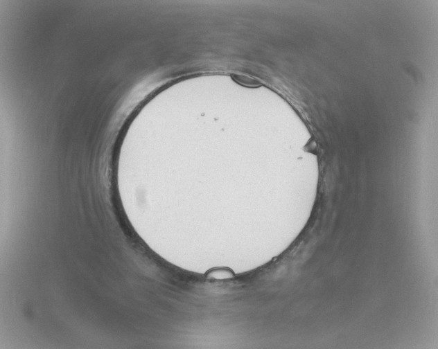 X0000115840103200912111341