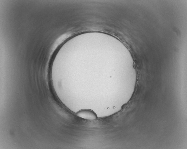 X0000115840104200912111341