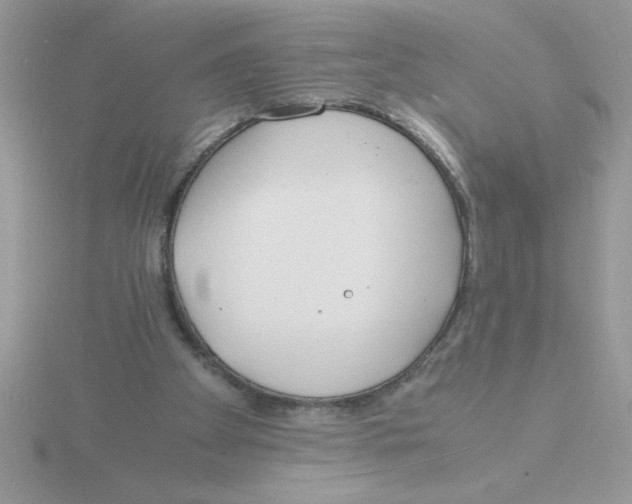 X0000115840105200912111341