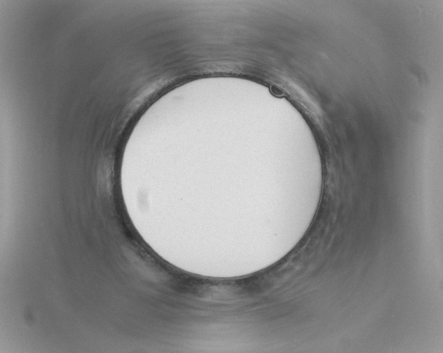 X0000115840107200912111341