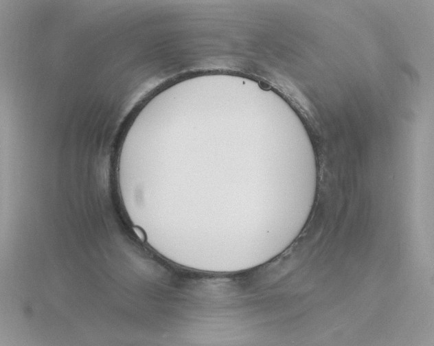 X0000115840108200912111341