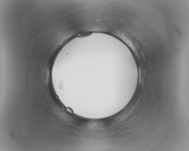 X0000115840109200912111341