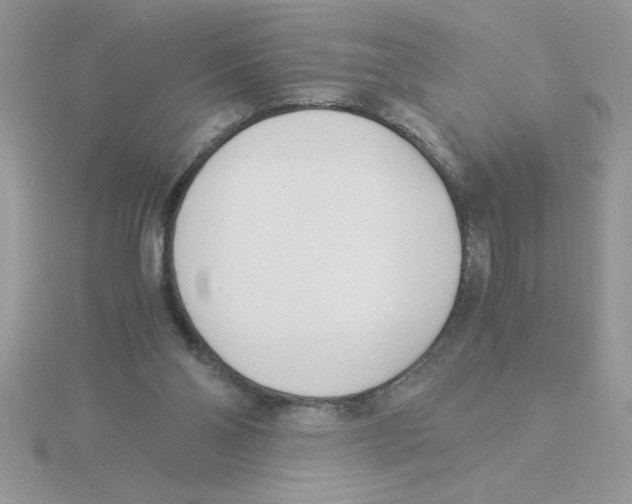 X0000115840110200912111341