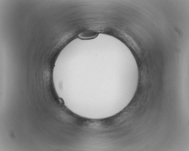 X0000115840113200912111341