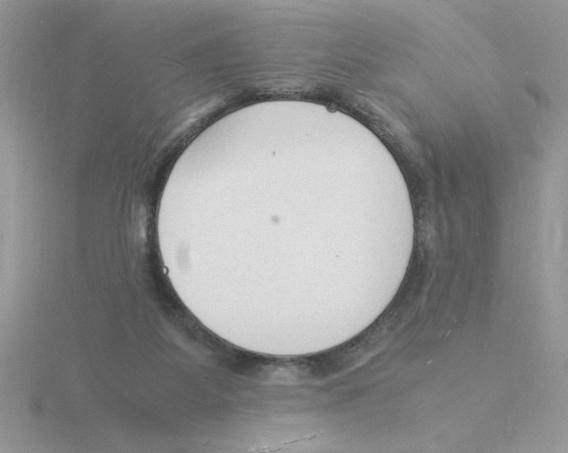 X0000115840115200912111341