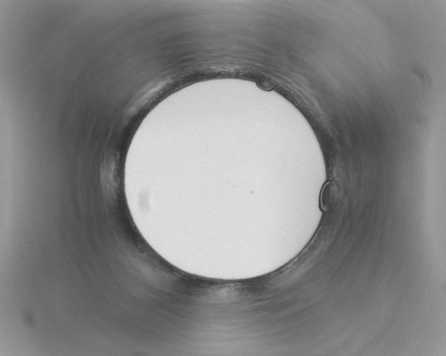 X0000115840116200912111341