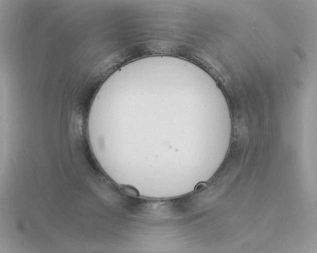 X0000115840117200912111341