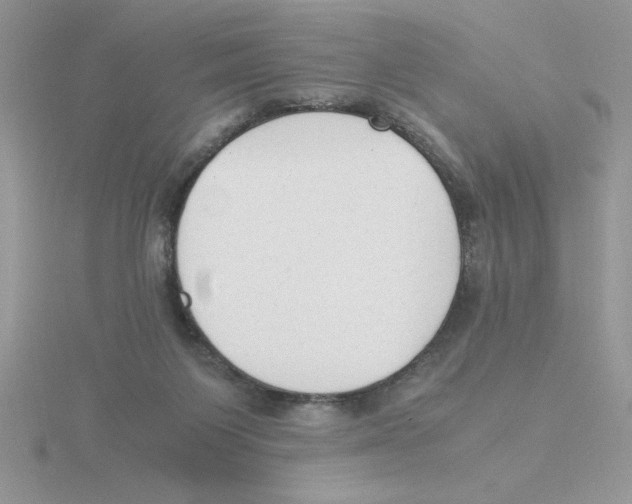 X0000115840119200912111341