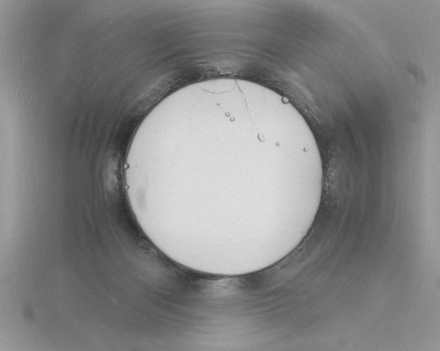 X0000115840122200912111341