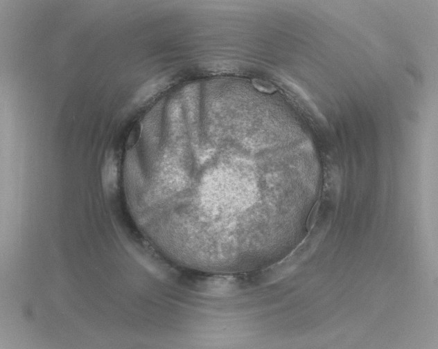 X0000115840124200912111341