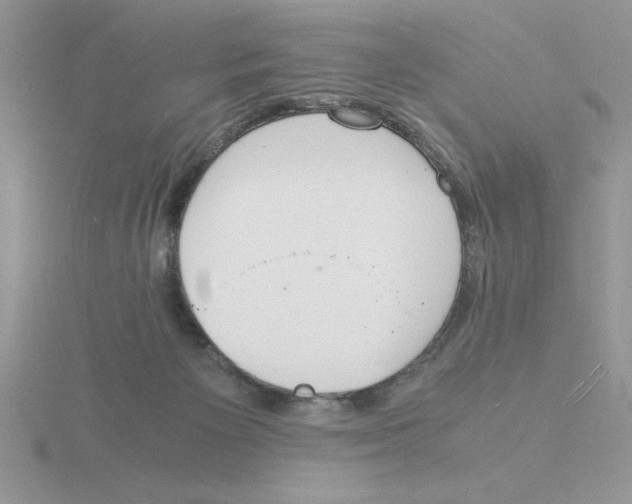 X0000115840125200912111341