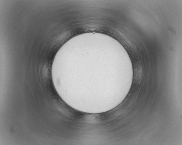 X0000115840126200912111341