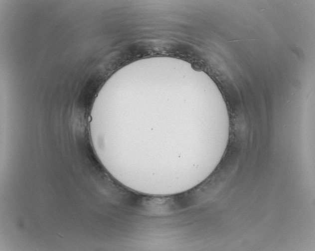 X0000115840129200912111341