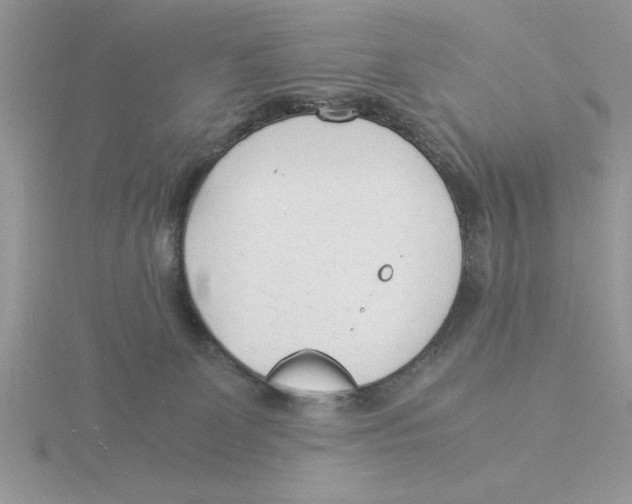 X0000115840131200912111341