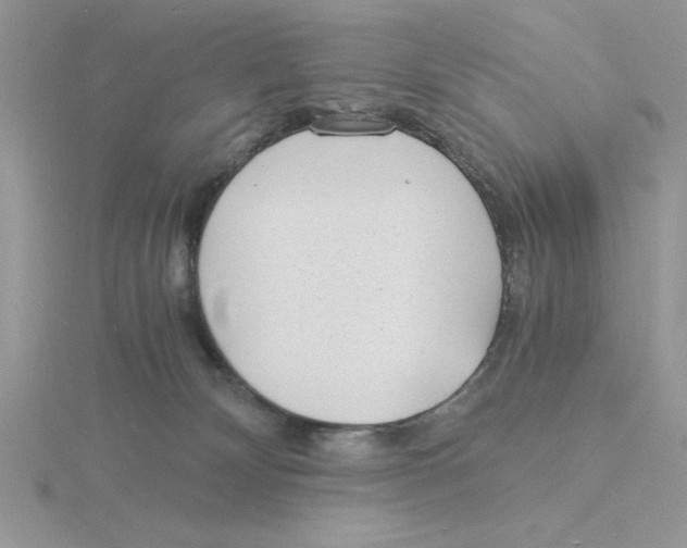 X0000115840132200912111341