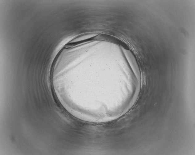 X0000115840147200912111340