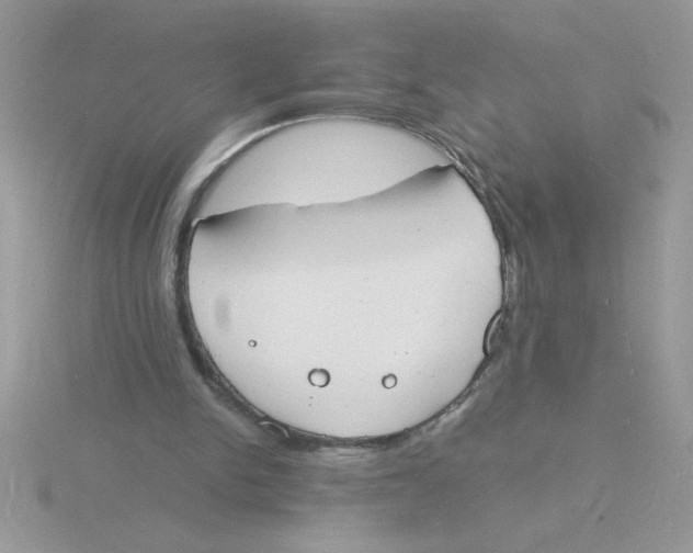 X0000115840150200912111340