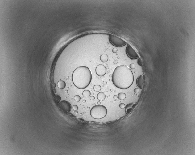 X0000115840151200912111340