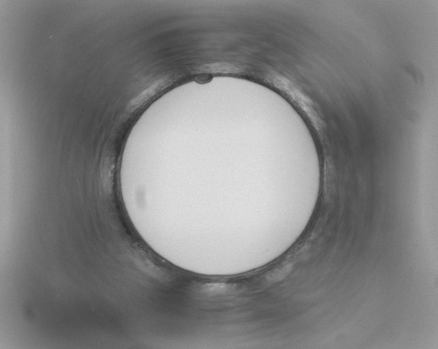 X0000115840153200912111340