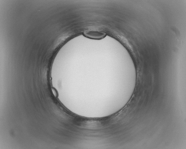 X0000115840154200912111340