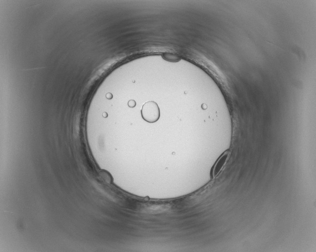 X0000115840155200912111340