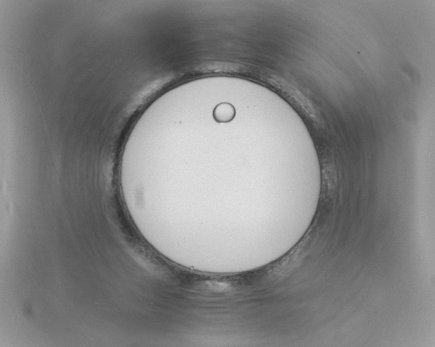 X0000115840159200912111340