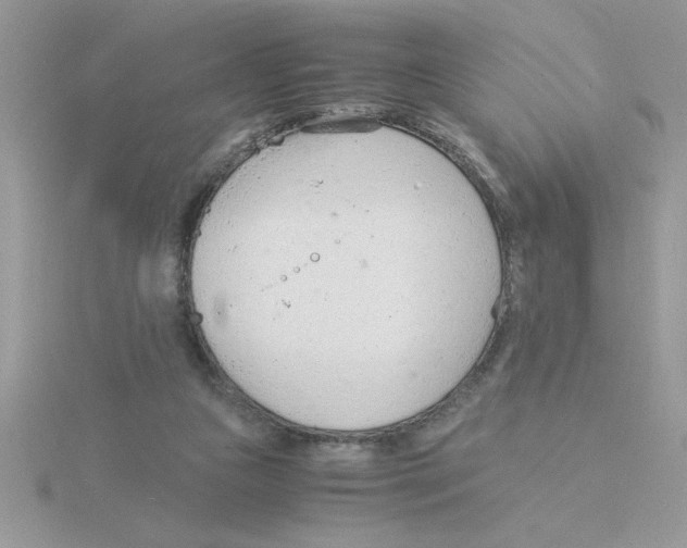 X0000115840161200912111340