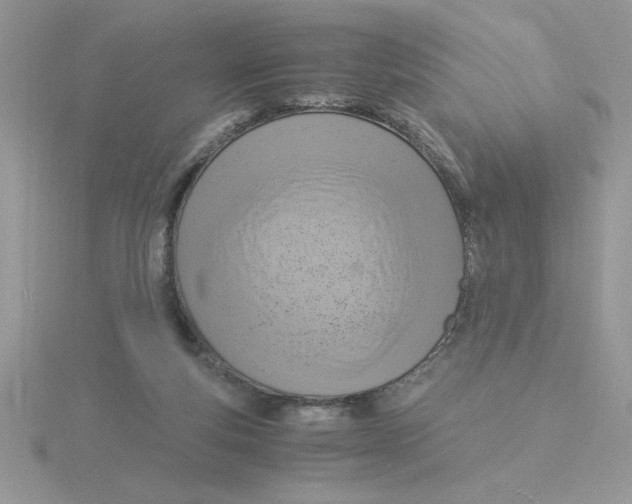 X0000115840163200912111340