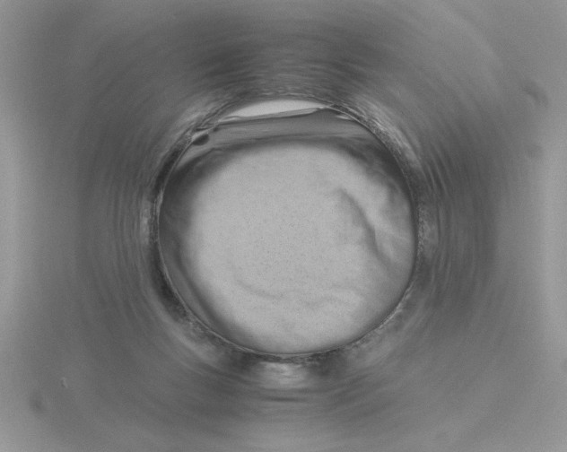 X0000115840167200912111340