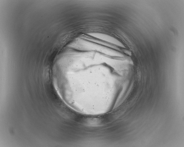 X0000115840169200912111340