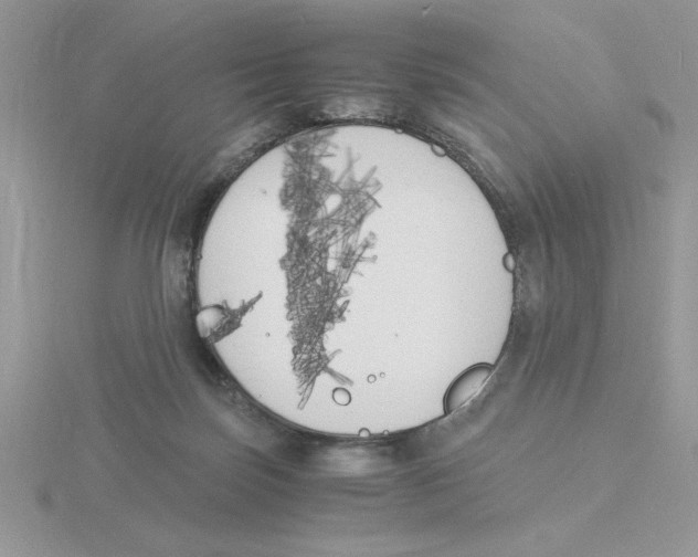 X0000115840171200912111340