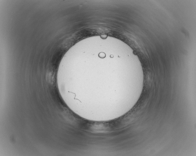 X0000115840177200912111340