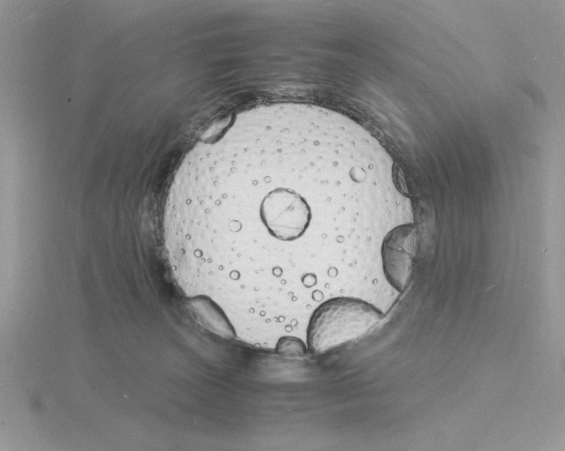 X0000115840179200912111340