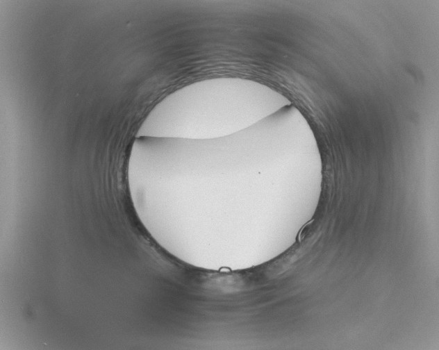 X0000115840185200912111340