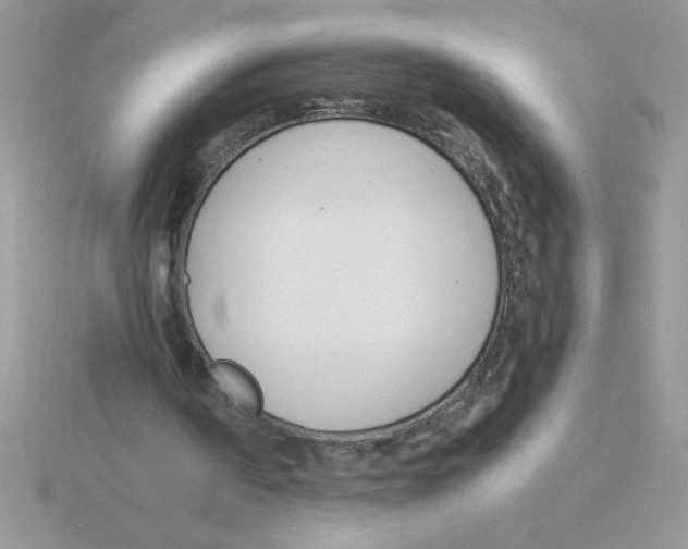 X0000115840194200912111340