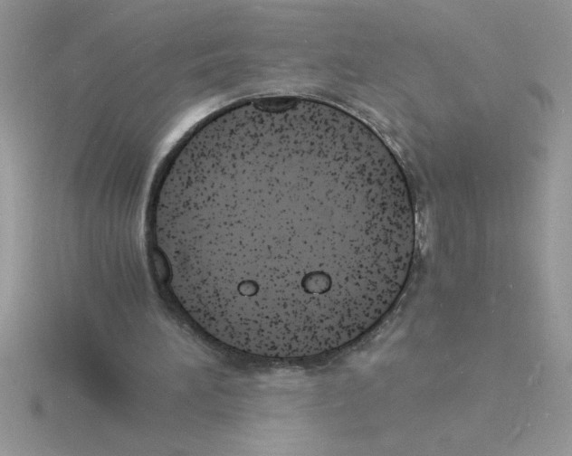 X0000115840196200912111340