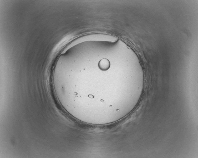 X0000115840197200912111340