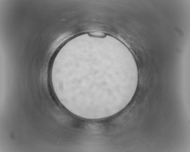 X0000115840199200912111340