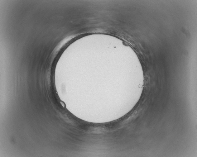 X0000115840200200912111340