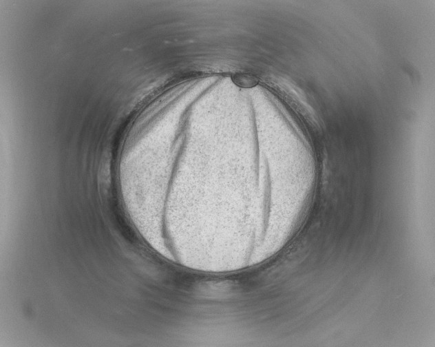 X0000115840202200912111340