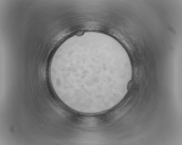 X0000115840203200912111340