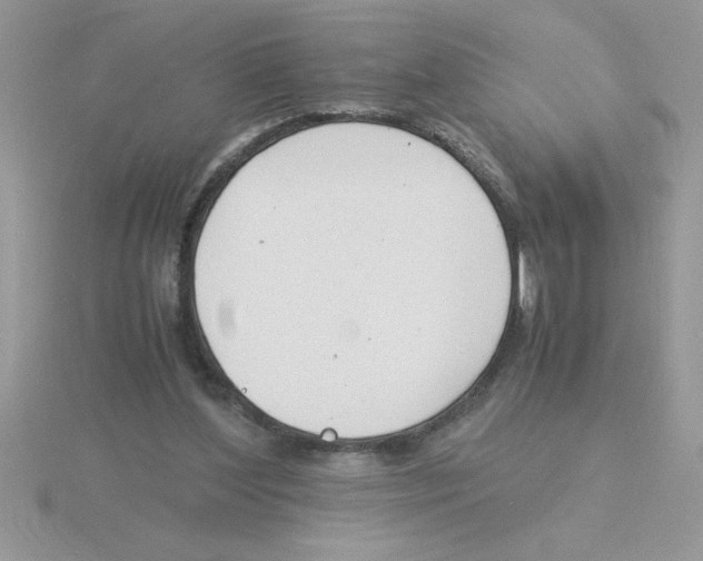 X0000115840204200912111340