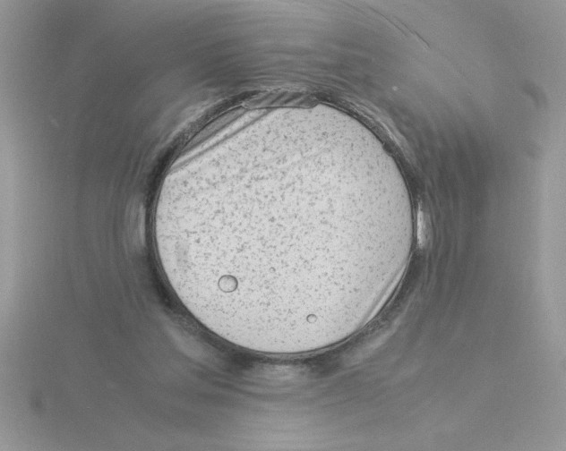 X0000115840205200912111340