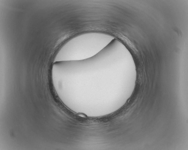 X0000115840207200912111340