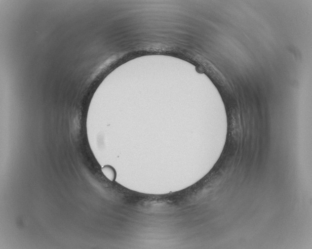 X0000115840208200912111340